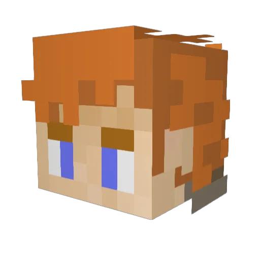 TheTxRig Minecraft avatar head, 3D render
