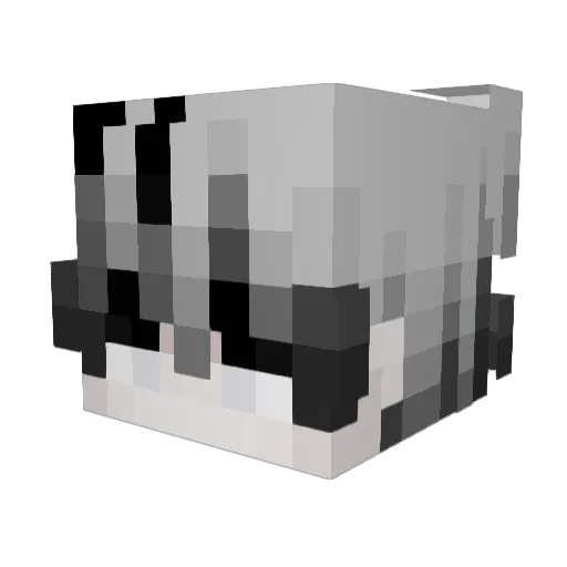 TheTyki Minecraft avatar head, 3D render