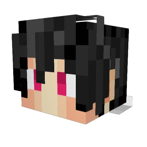 TheUndefeated11 Minecraft avatar head, 3D render