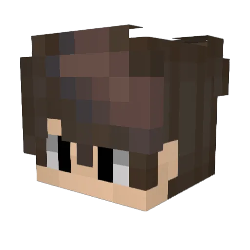 TheUnderChicken Minecraft avatar head, 3D render