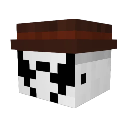 TheUnforgiven123 Minecraft avatar head, 3D render