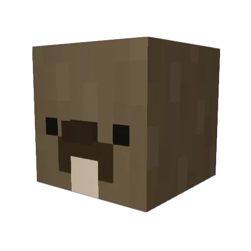 TheUnknownFlash Minecraft avatar head, 3D render