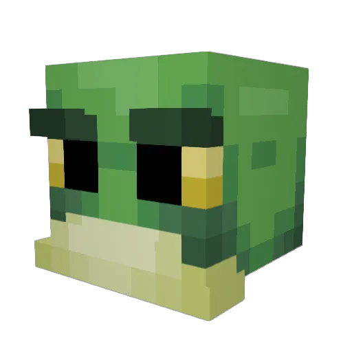 TheUnknownLime Minecraft avatar head, 3D render