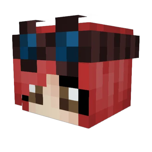 TheUnseenNinja Minecraft avatar head, 3D render
