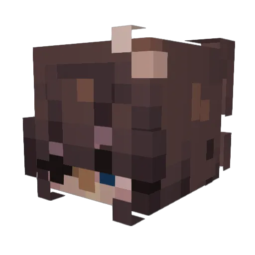 TheUnseenRose Minecraft avatar head, 3D render