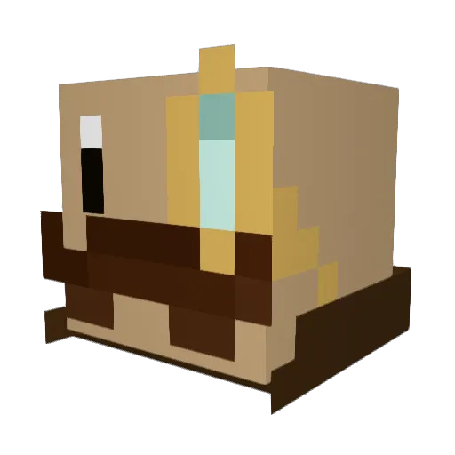 TheVacants Minecraft avatar head, 3D render