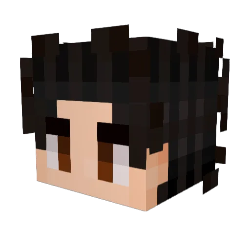 TheVerbivore Minecraft avatar head, 3D render