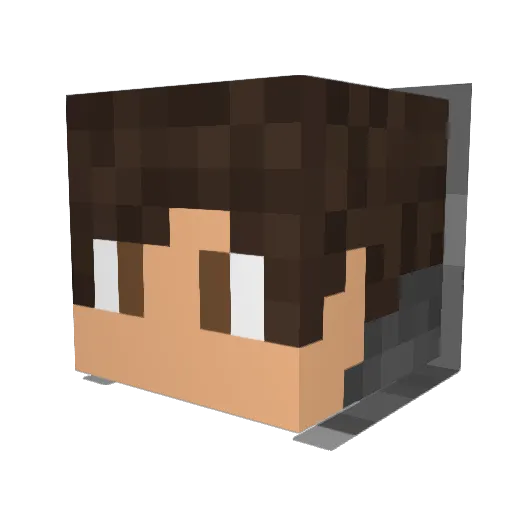 TheVestedSalmon Minecraft avatar head, 3D render