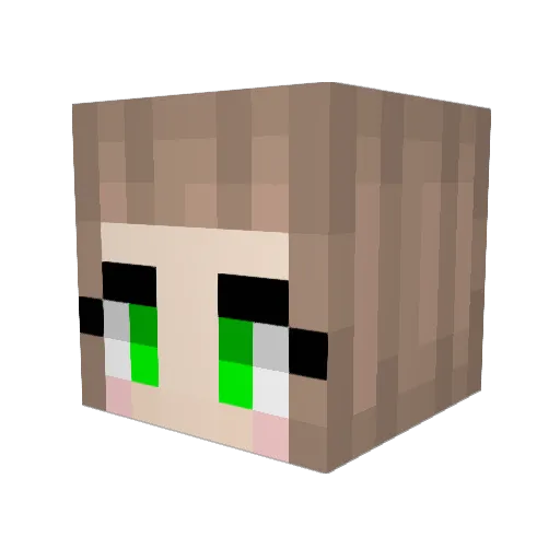 TheVoid9 Minecraft avatar head, 3D render