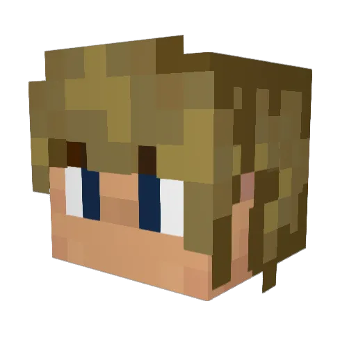 TheVoid_Walker Minecraft avatar head, 3D render