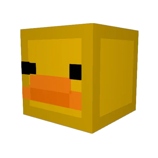 TheVoidedDuck Minecraft avatar head, 3D render