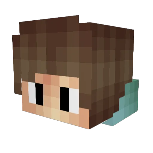 TheWaffle25 Minecraft avatar head, 3D render