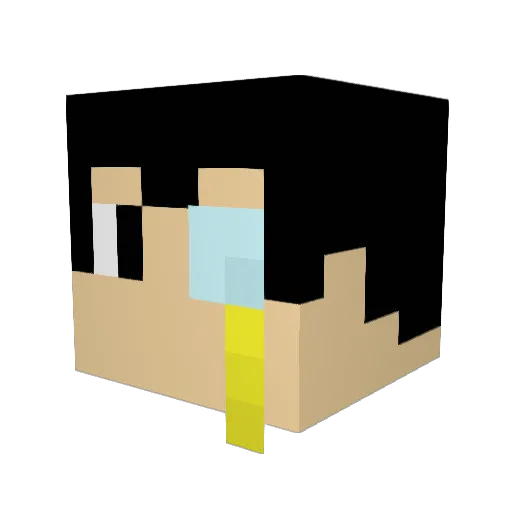 TheWaffleGalaxy Minecraft avatar head, 3D render