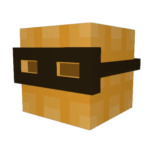 TheWaffleWiffle Minecraft avatar head, 3D render