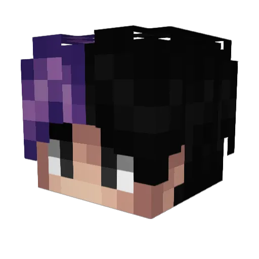 TheWalesa Minecraft avatar head, 3D render