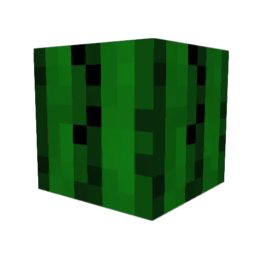 TheWalkingCactus Minecraft avatar head, 3D render