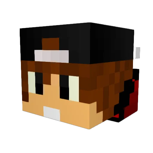 TheWall284 Minecraft avatar head, 3D render
