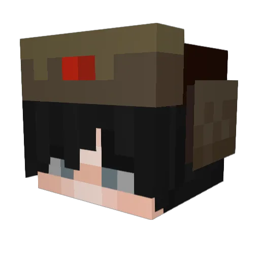 TheWanderer11522 Minecraft avatar head, 3D render