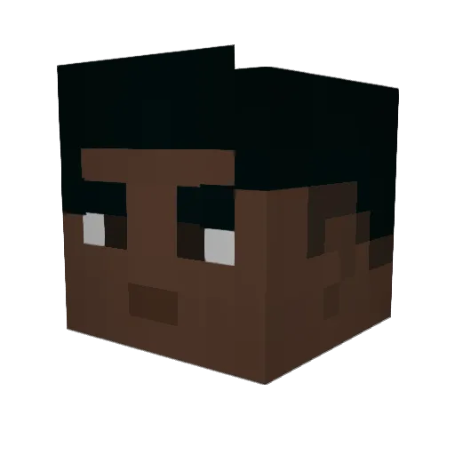 TheWanderer17 Minecraft avatar head, 3D render