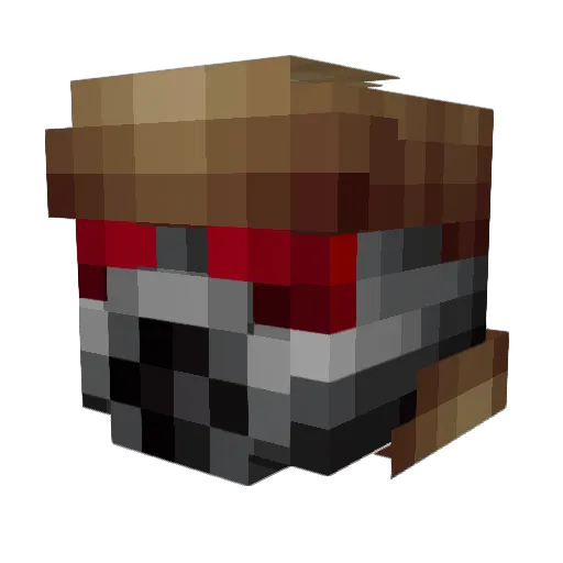 TheWanderer96 Minecraft avatar head, 3D render
