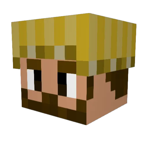 TheWarlock117 Minecraft avatar head, 3D render