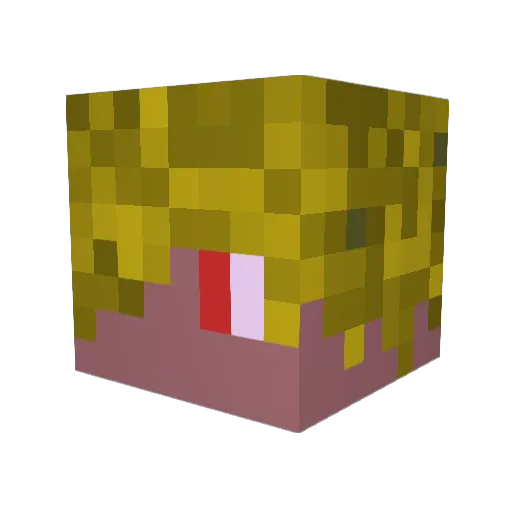 TheWarpedBlade Minecraft avatar head, 3D render
