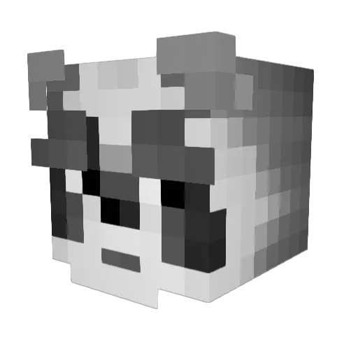 TheWasbeertje Minecraft avatar head, 3D render