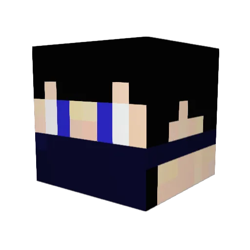 TheWaterGamer Minecraft avatar head, 3D render