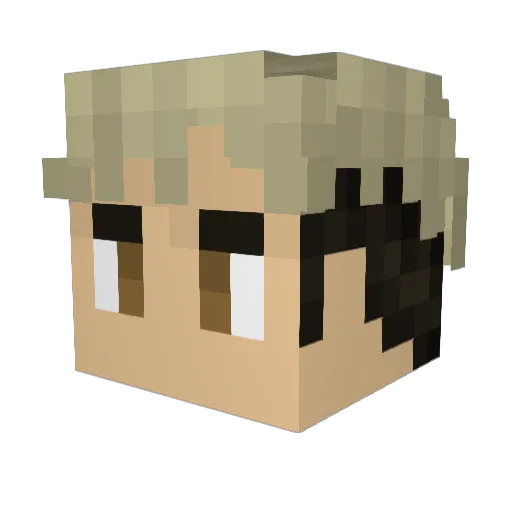 TheWaterbender7 Minecraft avatar head, 3D render