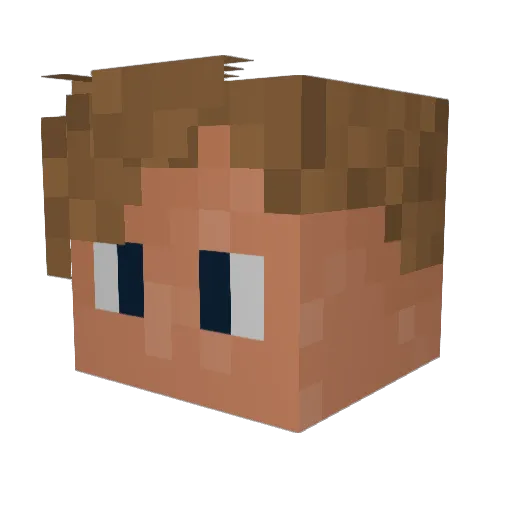 TheWavemaster11 Minecraft avatar head, 3D render