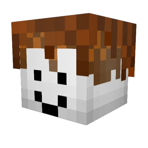 TheWayMaker151 Minecraft avatar head, 3D render