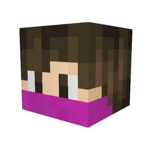 TheWayzi Minecraft avatar head, 3D render