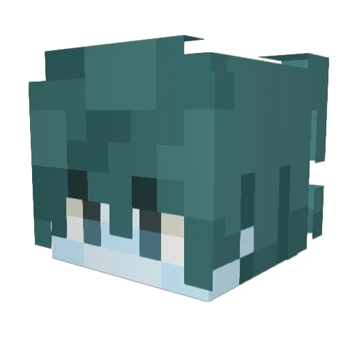 TheWeavers4 Minecraft avatar head, 3D render