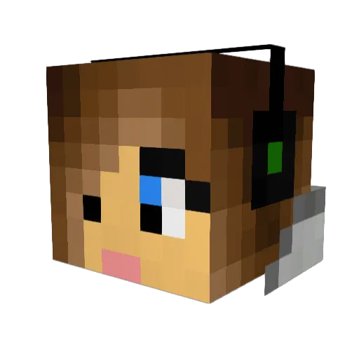 TheWebbinator Minecraft avatar head, 3D render