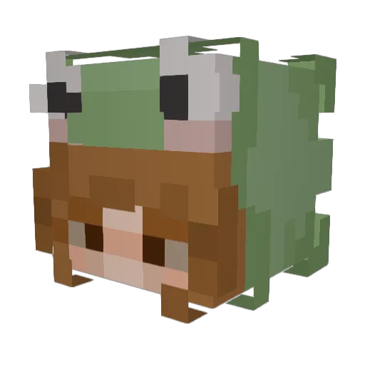 TheWeirdFrog Minecraft avatar head, 3D render