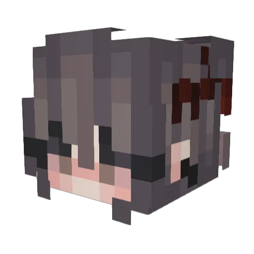 TheWeirdLife Minecraft avatar head, 3D render