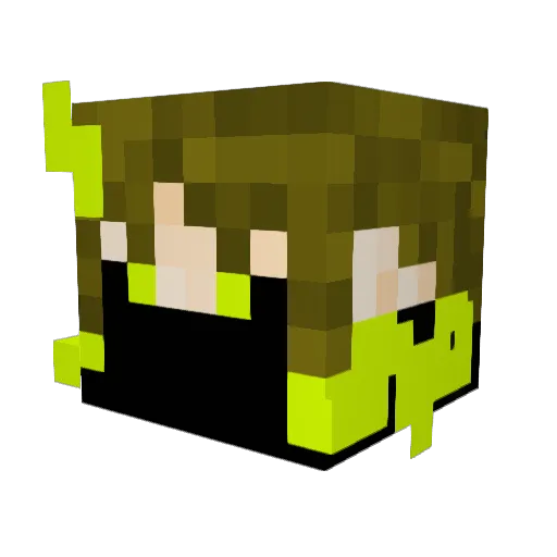 TheWeirdoBeardo Minecraft avatar head, 3D render
