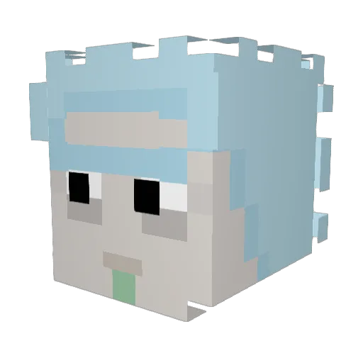 TheWes_ Minecraft avatar head, 3D render