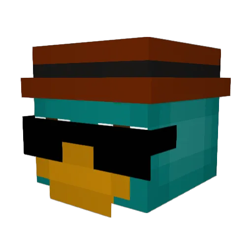 TheWetWaffle9 Minecraft avatar head, 3D render