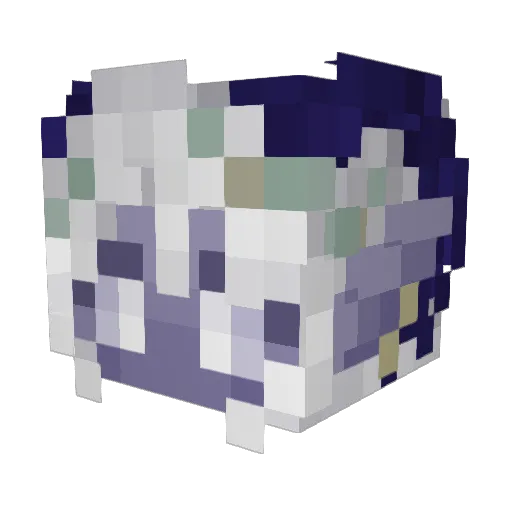 TheWhaleFish Minecraft avatar head, 3D render