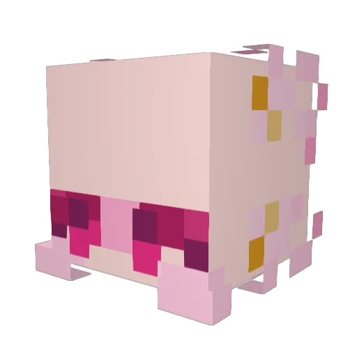TheWhiteV0id Minecraft avatar head, 3D render