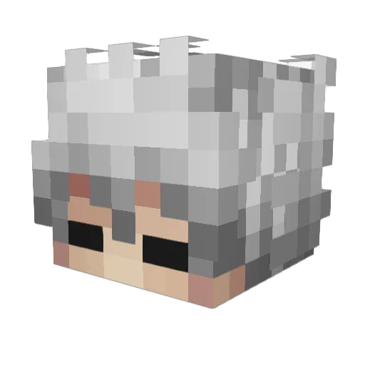 TheWigard Minecraft avatar head, 3D render