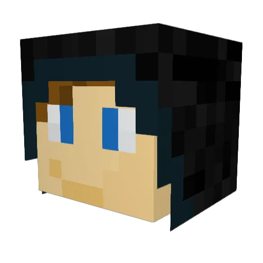 TheWildBynapie Minecraft avatar head, 3D render