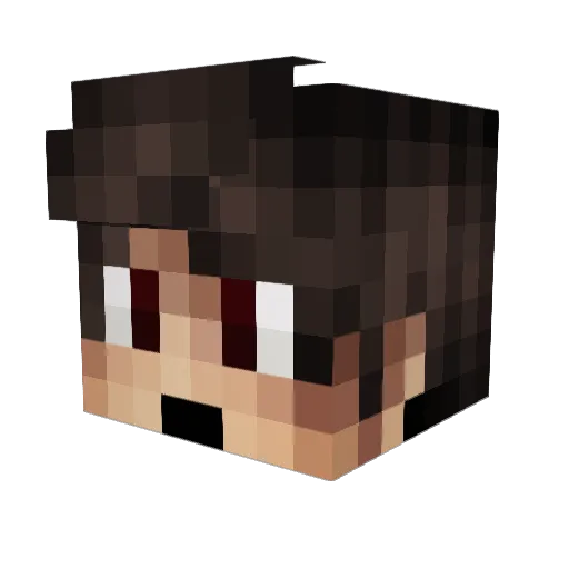 TheWildEye Minecraft avatar head, 3D render