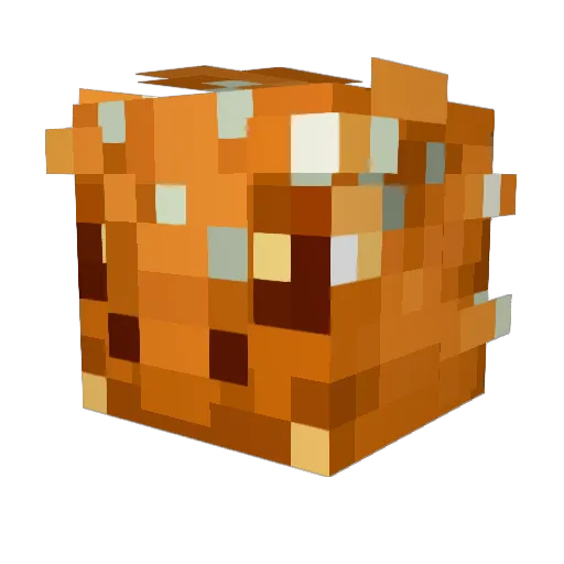 TheWildWarrior Minecraft avatar head, 3D render