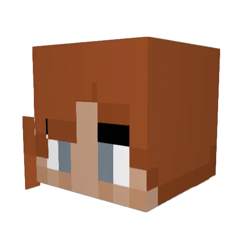TheWildcarrd Minecraft avatar head, 3D render