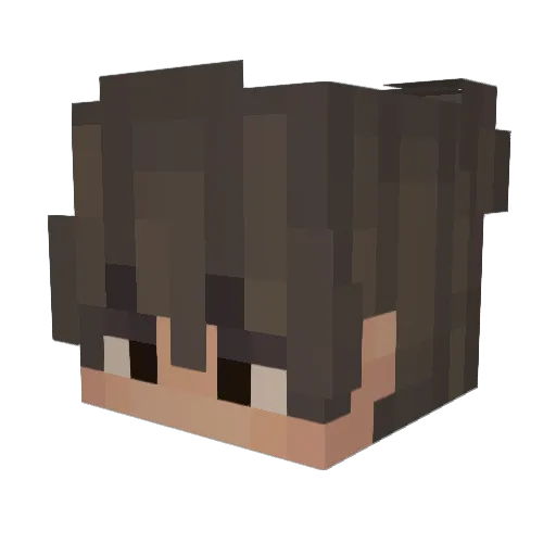 TheWinterArmy Minecraft avatar head, 3D render