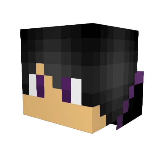 TheWinterSolger Minecraft avatar head, 3D render