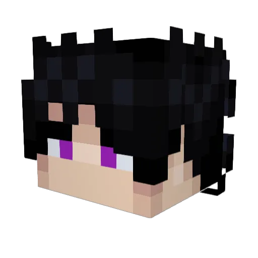 TheWiseFalcons Minecraft avatar head, 3D render