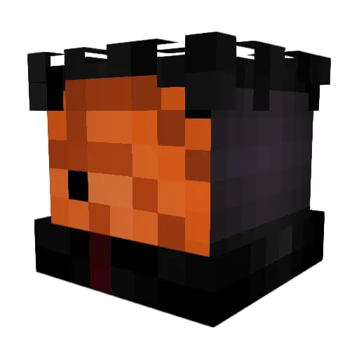 TheWiseHunter Minecraft avatar head, 3D render
